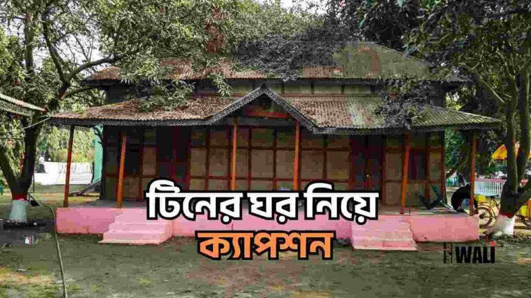 টিনের ঘর নিয়ে ক্যাপশন