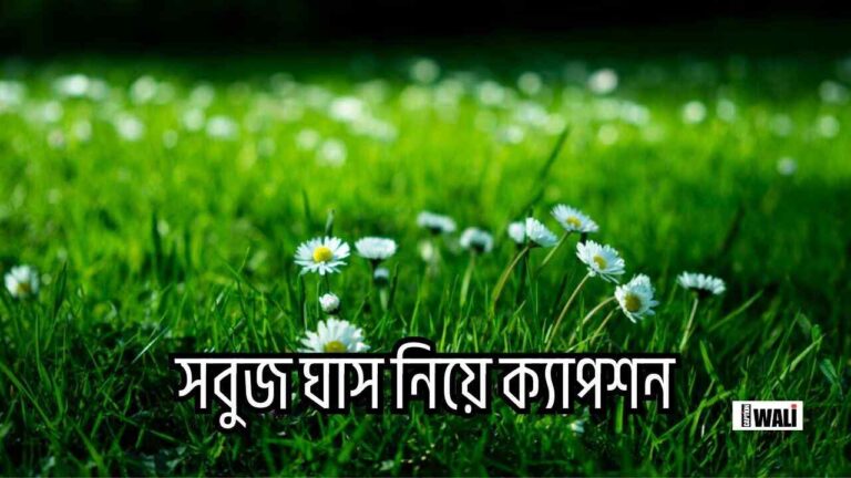 সবুজ ঘাস নিয়ে ক্যাপশন