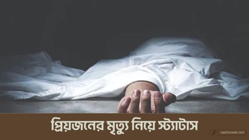 প্রিয়জনের মৃত্যু নিয়ে স্ট্যাটাস