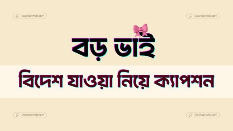 বড় ভাই নিয়ে স্ট্যাটাস বিদেশ যাওয়ার