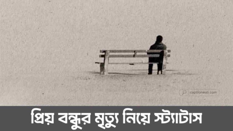বন্ধুর মৃত্যু নিয়ে স্ট্যাটাস