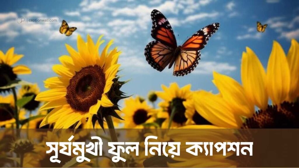 সূর্যমুখী ফুল নিয়ে ক্যাপশন