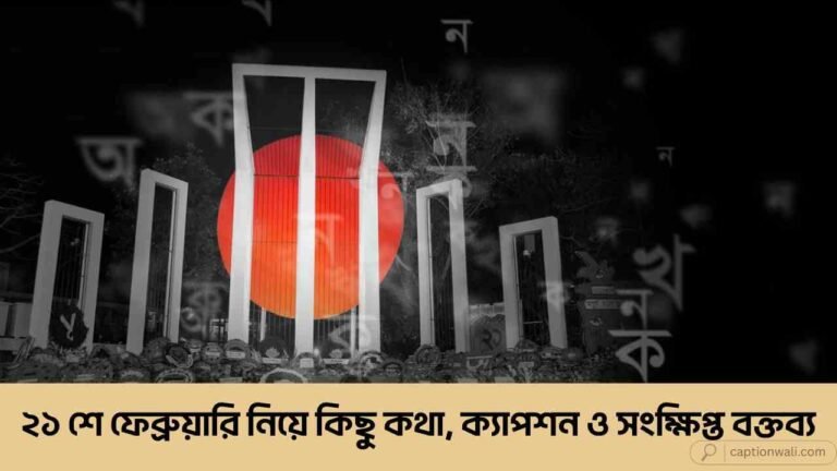 ২১ শে ফেব্রুয়ারি নিয়ে কিছু কথা, ক্যাপশন ও সংক্ষিপ্ত বক্তব্য