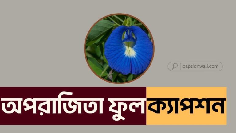 অপরাজিতা ফুল নিয়ে ক্যাপশন