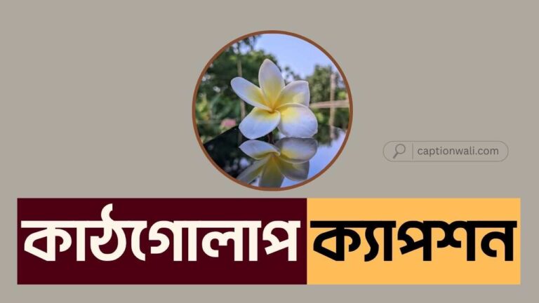 কাঠগোলাপ নিয়ে ক্যাপশন