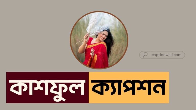 কাশফুল নিয়ে ক্যাপশন