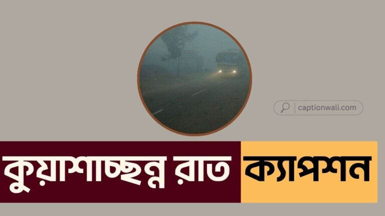 কুয়াশাচ্ছন্ন রাত নিয়ে ক্যাপশন