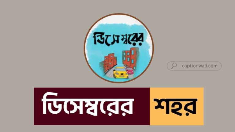 ডিসেম্বরের শহর নিয়ে ক্যাপশন