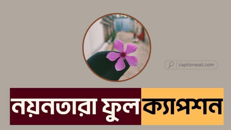 নয়নতারা ফুল নিয়ে ক্যাপশন