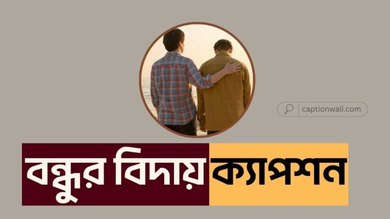 বন্ধু বিদায় নিয়ে ক্যাপশন
