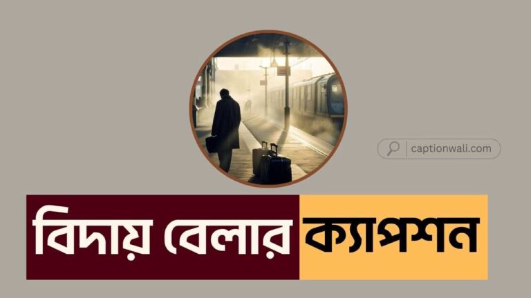 বিদায় বেলার ক্যাপশন