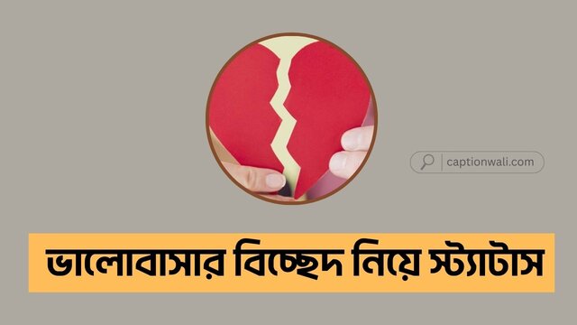 ভালোবাসার বিচ্ছেদ নিয়ে স্ট্যাটাস