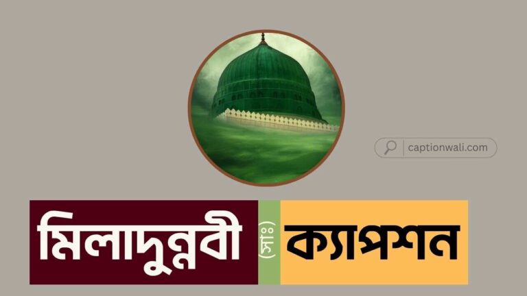 মিলাদুন্নবী নিয়ে ক্যাপশন