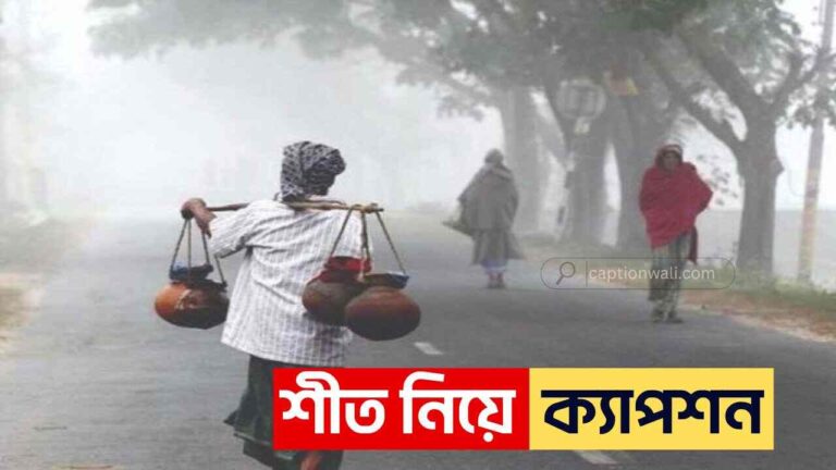 শীত নিয়ে ক্যাপশন