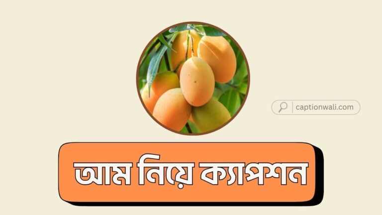 আম নিয়ে ক্যাপশন