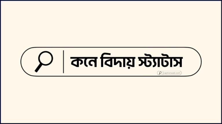 কনে বিদায় স্ট্যাটাস