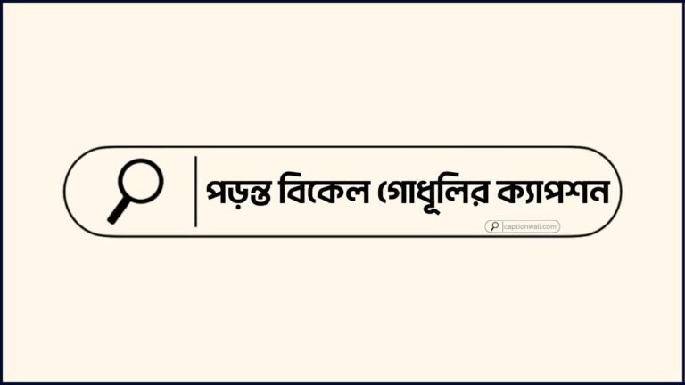 পড়ন্ত বিকেল গোধূলির ক্যাপশন
