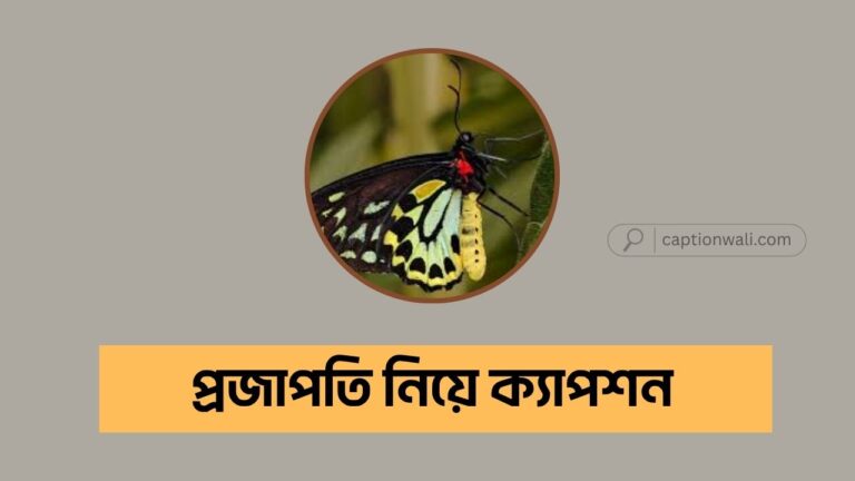 প্রজাপতি নিয়ে ক্যাপশন