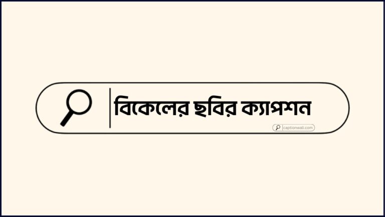 বিকেলের ছবির ক্যাপশন