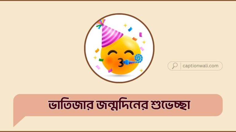 ভাতিজার জন্মদিনের শুভেচ্ছা