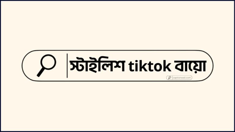 স্টাইলিশ tiktok বায়ো